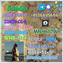 1119-51-3 factory direct sale price discount