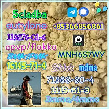 1119-51-3 factory direct sale price discount