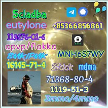 1119-51-3 factory direct sale price discount