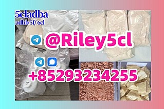 5fadb 5cladba 5cladba adbb 5cladba 5fadba 4fadba eu k2 adbb 5cladba 5fadba 4fadba cannabinoid 5cladba,5f , 6cladba