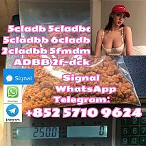 5cladba raw material 5CL-ADB-A precursor raw 5cladba 5f adb