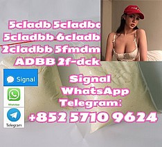 5cladb 5cl 5cladbb 5fadb 4fadb cas120-72-9