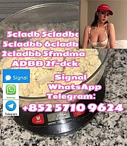 5cladb 5cl 5cladbb 5fadb 4fadb cas120-72-9