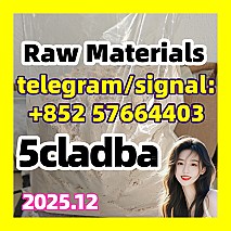 5cladba precursor raw 5cl-adb-a raw material 的发挥规范化