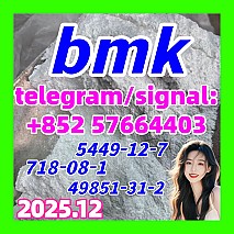 cas 5449-12-7 BMK Powder glycidate Bmk Glycidic Acid 请问呃呃呃