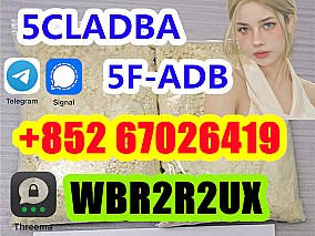 5cladba precursor raw 5cl-adb-a raw material