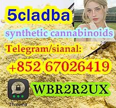5CL-ADB-A powder 5-cl-adb-a Research Chemical Powders 5cladba