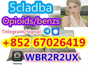 5cladba 5cl precursors 5cl-adb-a 5cladb-a 6cladba k2 powder spice raw materials DMF