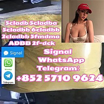 High-Grade 5cladba 5cladbbADBB 5cl 6clyellow Powder : Fast Ship