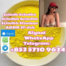 High-Grade 5cladba 5cladbbADBB 5cl 6clyellow Powder : Fast Ship
