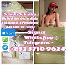 High-Grade 5cladba 5cladbbADBB 5cl 6clyellow Powder : Fast Ship