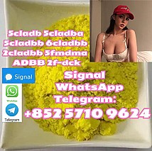 Potent Pure 5cladba 5cladbbADBB 5cl 6clyellow Powder : Ship