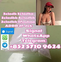 Potent Pure 5cladba 5cladbbADBB 5cl 6clyellow Powder : Ship