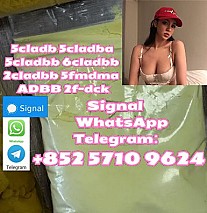 Potent Pure 5cladba 5cladbbADBB 5cl 6clyellow Powder : Ship