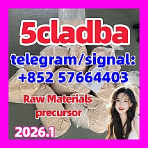 China Supplier 5cladba precursor raw 5cl-adba raw material