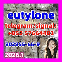 Eutylone EU (hydrochloride) BK-EBDB CAS 802855-66-9 CAS17764-18-0