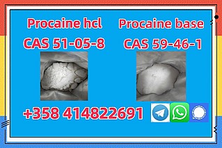 Procaine /procaine Base Cas 59-46-1 Free Sample Fast Delivery