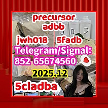 Telegram/Signal：+852 65674560   C