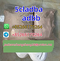 Yellow powder 5cladba 5cladbb 5cl Whatsapp/Telegram:+85266170264
