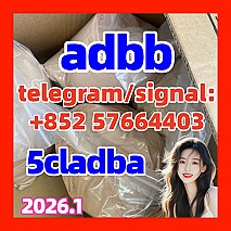 5cladba 5cl 5c 5cladb 5cl-adb-a, Adbb/adb-binaca Adb-butinaca Double 衣架