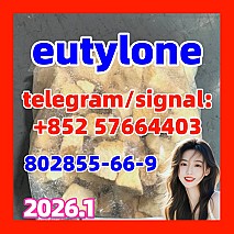 Eutylone | 802855-66-9 |发货