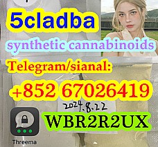 5cl adb 5CL 5cladba 5cl raw materials