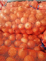 AKCIÓS VÖRÖSHAGYMA ELADÓ