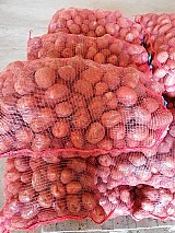 Étkezési Bellarosa burgonya eladó