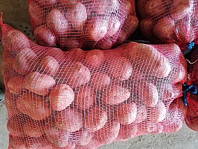 Étkezési Bellarosa burgonya eladó