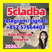 5cladba precursor raw 5cl-adb-a raw material precursor Cannabinoids 1119-51-3 68-12-2 dmf