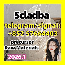 adbb 5fadb 5cl-adb-a 5cladb Good supplier  Raw Materials precursor Cannabinoids 1119-51-3 68-12-2 dmf