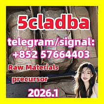 5cladba 5cladba Yellow Powder 5CL-ADB-A 5F-Adb Raw Materials precursor