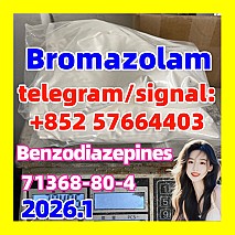 71368-80-4 bromazolam Benzodiazepines  Etizolam 40054-69-1