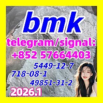 2022 bmk powder cas 5449-12-7 bmk glycidate acid in stock  49851-31-2  718-08-1 10250-28-7  103-79-7