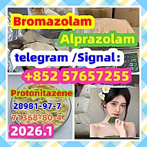 Protonitazene CAS 119276-01-6 High quality and low price