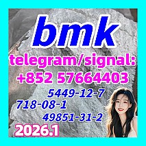 Cas 5449-12-7 New BMK sodium salt stock