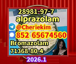 Protonitazene CAS 119276-01-6