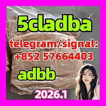 5cl-adb Powder Supplier 5cl Adb 5cladba In Stock at Best Price 的归属感