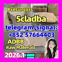 5cladba 5cl precursors 5cl-adb-a 5cladb-a 6cladba k2 powder spice raw materials DMF 自行车