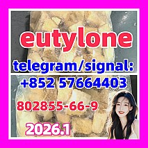 Eutylone Bk-ebdb Cas 802855-66-9/17764-18-0 at Best Price 大风歌