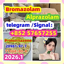 Protonitazene CAS 119276-01-6 High quality and low price