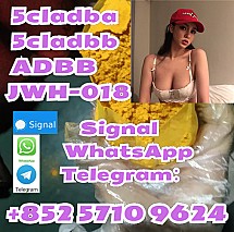 99% Pure 5cladba 5cladbb adbb Precursor Powder 5cl Jwh-018 mdmb Safe Delivery