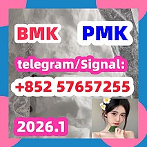 BMK pmk Glycidic Acid sodium salt CAS 5449 - 12 - 7