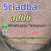 Yellow Powder 5cl 5cladba 5cladbb