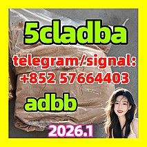 5cladba precursor 5cl raw materials 风格化