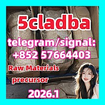 5cladba precursor 5cl raw materials  风格化