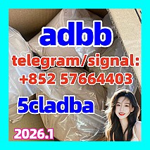 5cladba,5CLADBA,5cl,5cl-adb-a,yellow Powder 放个假