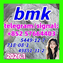 Buy cheap-price-bmk-glycidic-acid-sodium-salt-cas-5449-12-7 at Wholesale Price 风格化