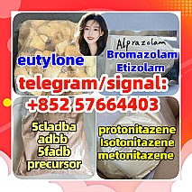 eutylone protonitazene 5cladba adbb 5fadb  bromazolam Benzodiazepines