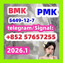 99 %Purity Methylamine Hydrochloride Cas 593-51-1bmkpmk